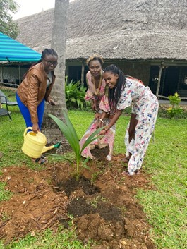 Mary planting a coconut tree