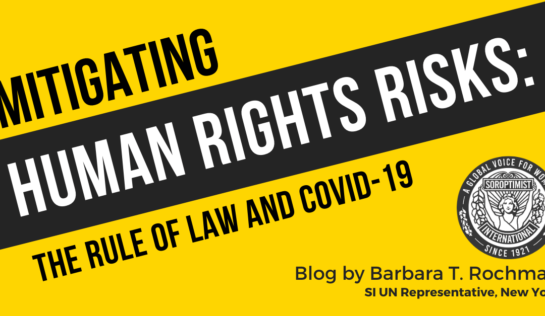 Mitigating the Human Rights Risks: The Rule of Law and COVID-19