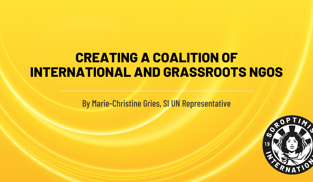 Creating a coalition of international and grassroots NGOs