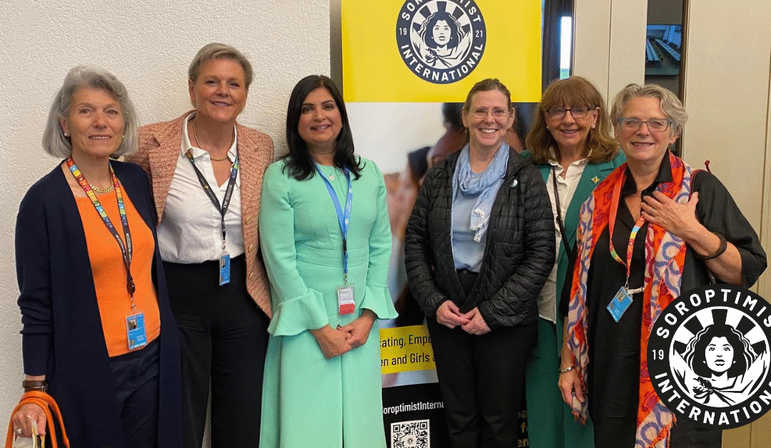 Widows Seminar: Challenges, Gaps, and Best Practices