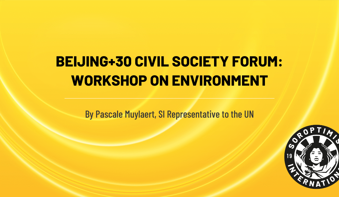 Beijing+30 Review Forum: Workshop on Environment
