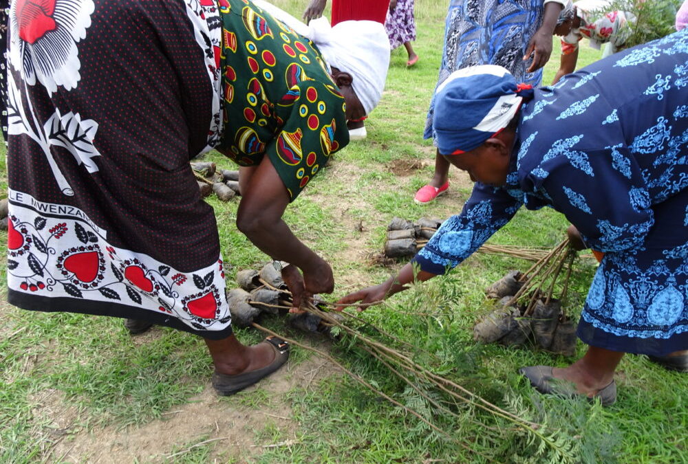 World Environment Day
