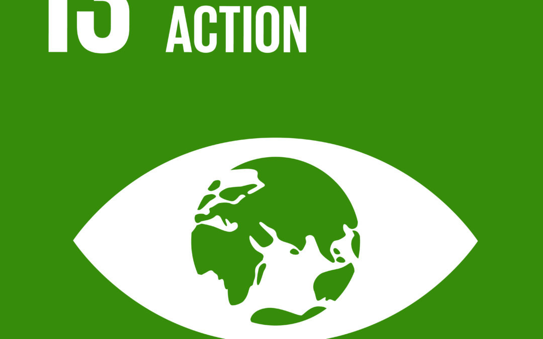 Women and the Environment: Roles, Risks and Rights