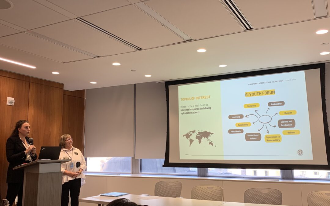 The Promise of Action – Opening Day at the HLPF 2018