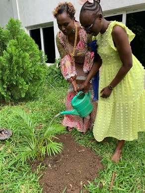 Mary planting palm trees