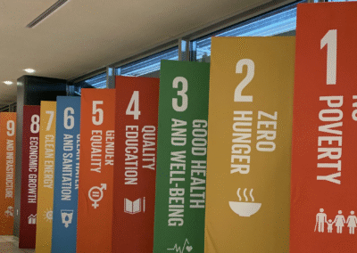 Sustainable Development Goals (SDGs)