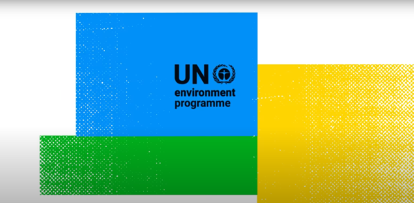 2021 is the Critical Turning Point to Make Peace with Nature