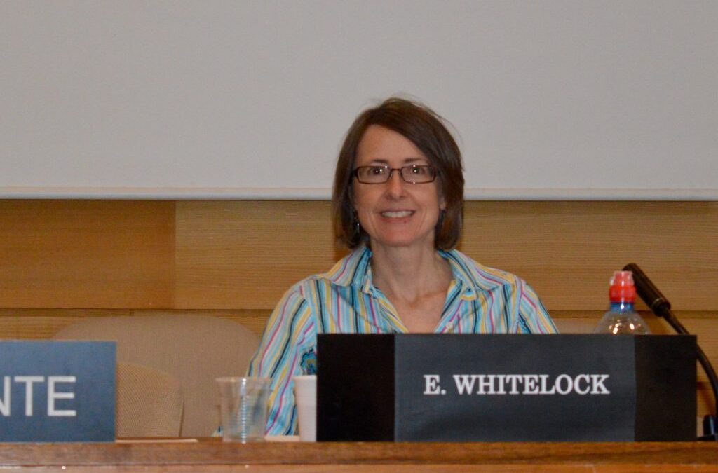 Does e-learning address challenges of education systems worldwide?