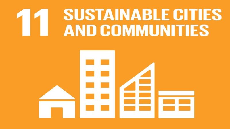 Sustainable Cities and COVID-19: Plans for Action