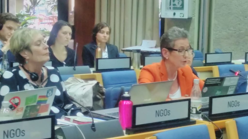Working Towards a Global Pact for the Environment